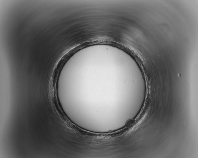 X0000096221117200801181024