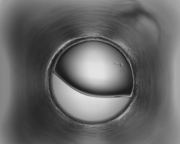 X0000096221118200801181024