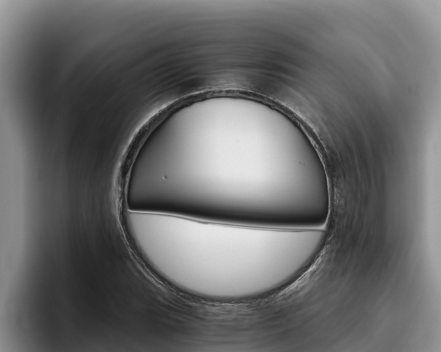 X0000096221119200801181024