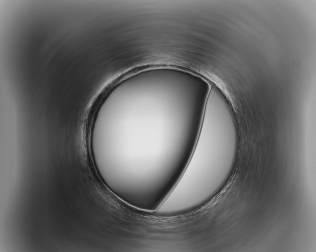X0000096221120200801181024