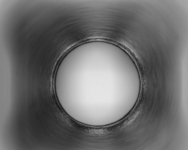 X0000096221121200801181024