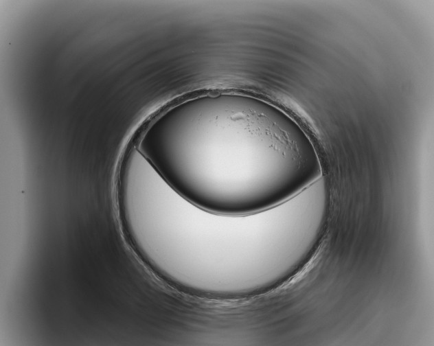 X0000096221122200801181024