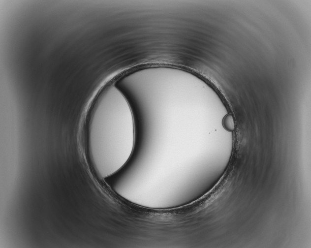 X0000096221123200801181024