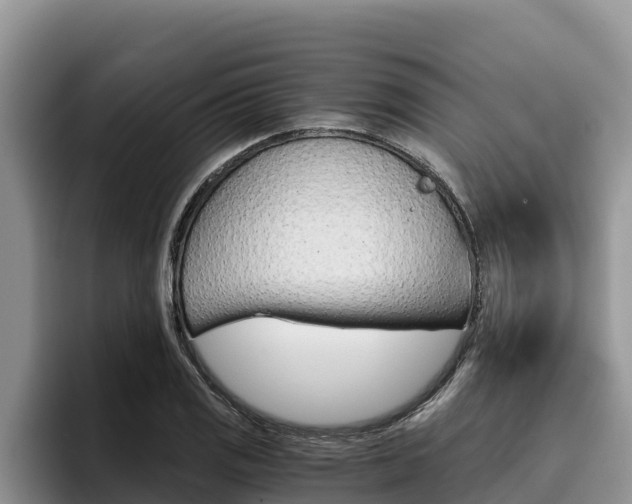 X0000096221125200801181024