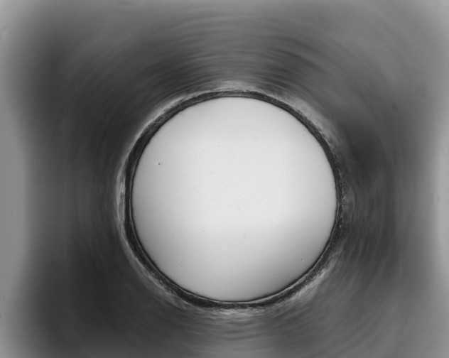 X0000096221126200801181024
