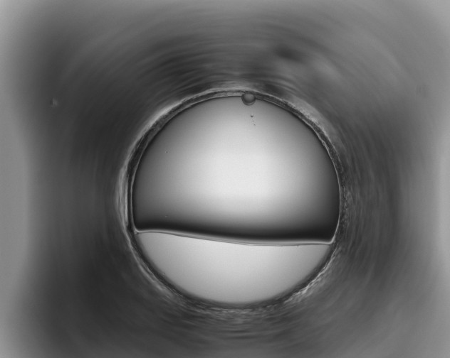 X0000096221127200801181024