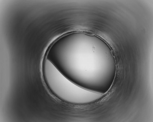 X0000096221128200801181024