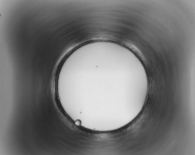 X0000096221130200801181024