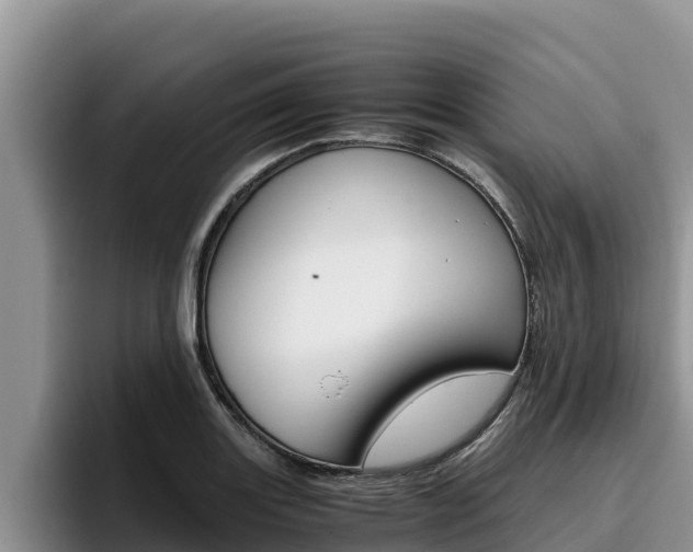 X0000096221131200801181024