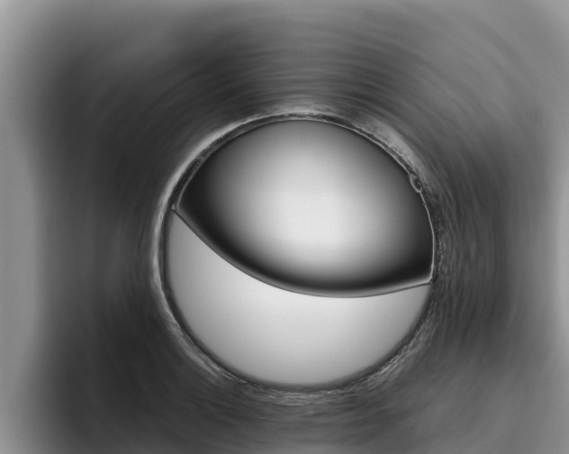 X0000096221132200801181024