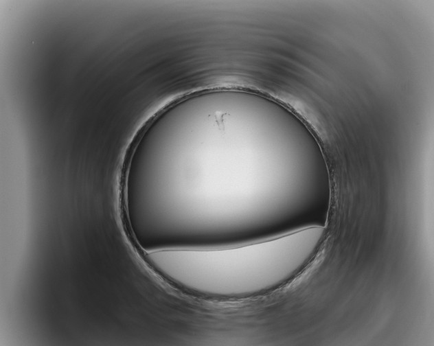 X0000096221134200801181024