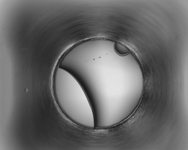 X0000096221135200801181024
