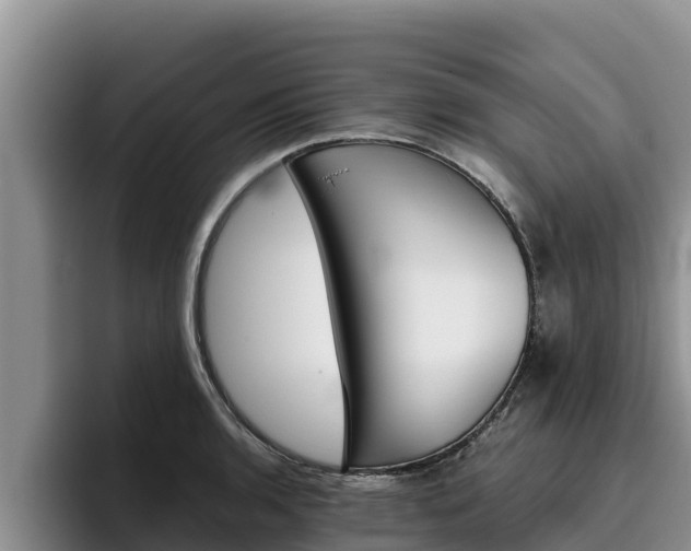 X0000096221136200801181024