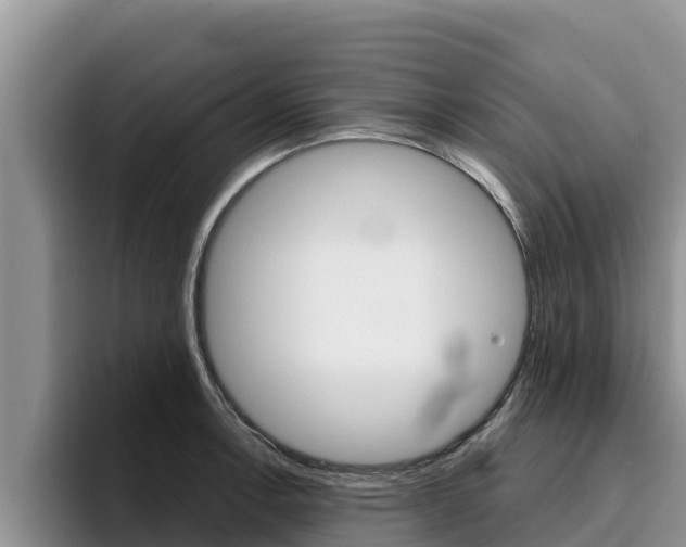 X0000096221138200801181024