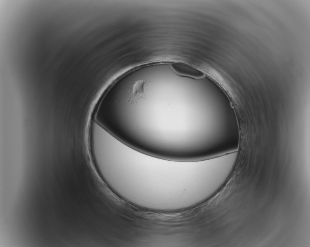 X0000096221140200801181024