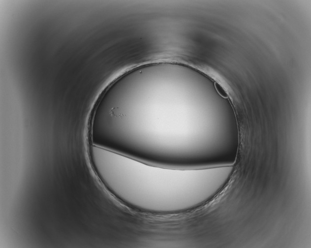 X0000096221142200801181024