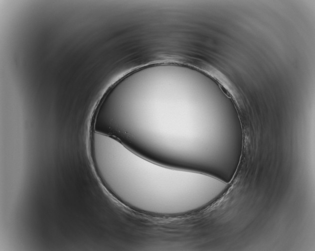 X0000096221143200801181024