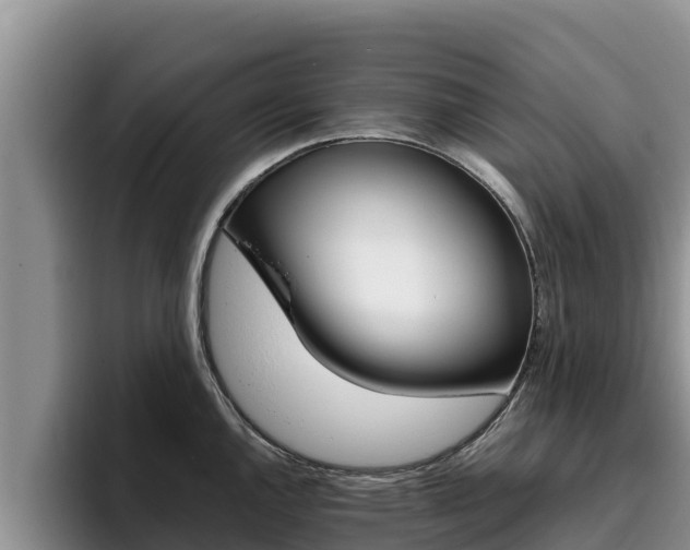 X0000096221144200801181024