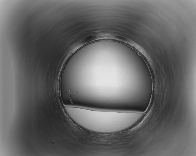 X0000096221145200801181024
