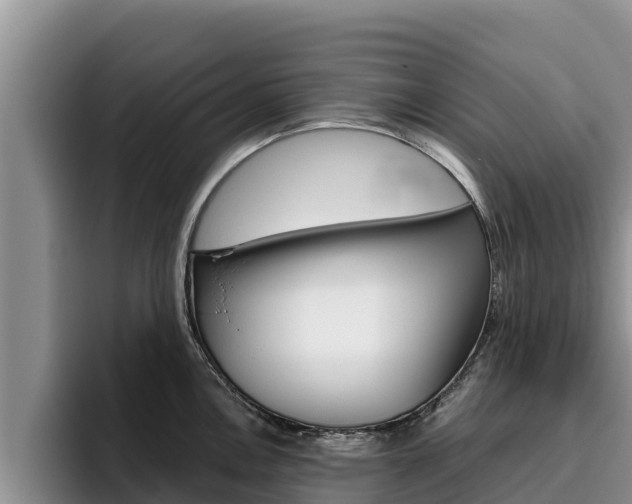 X0000096221146200801181024