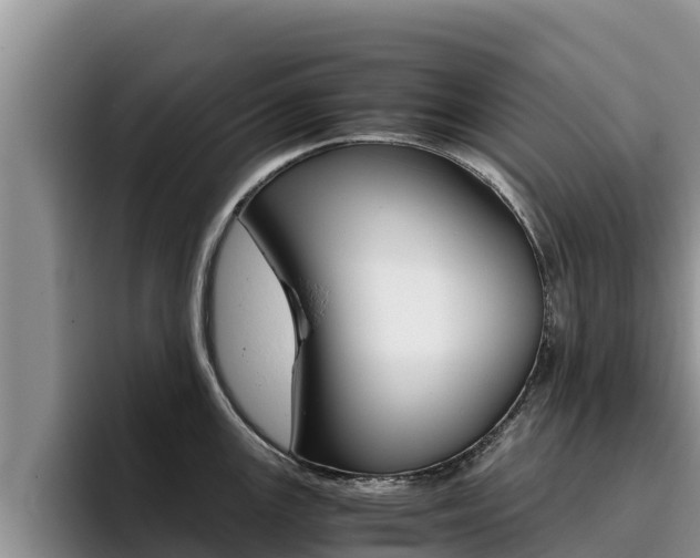X0000096221147200801181024