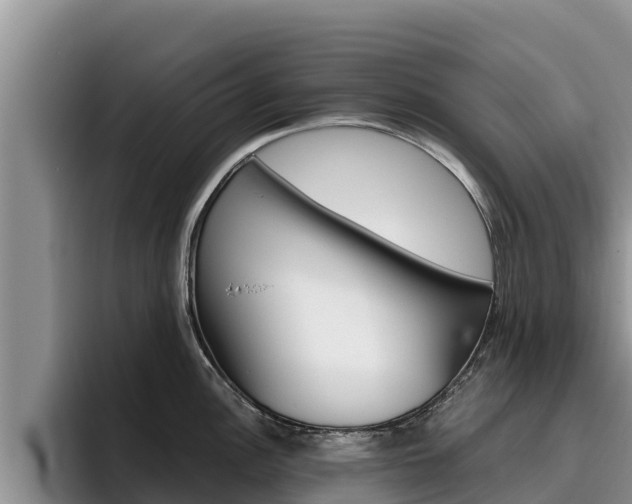 X0000096221148200801181024