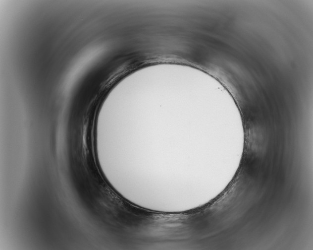 X0000096221150200801181024