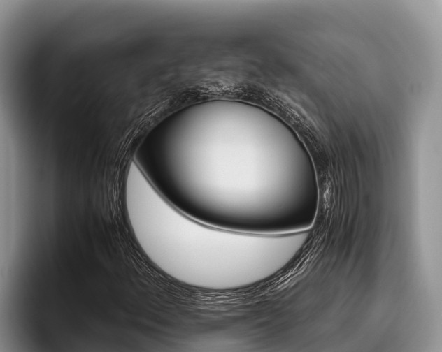 X0000096221156200801181024