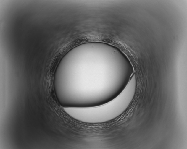 X0000096221157200801181024