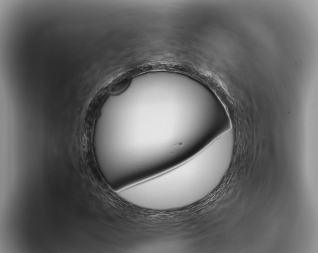 X0000096221159200801181024
