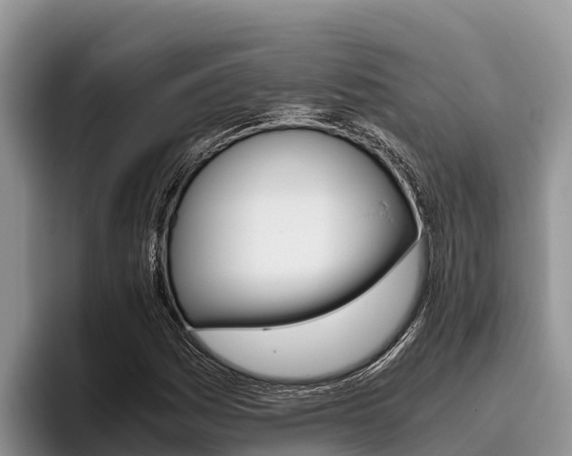 X0000096221161200801181023