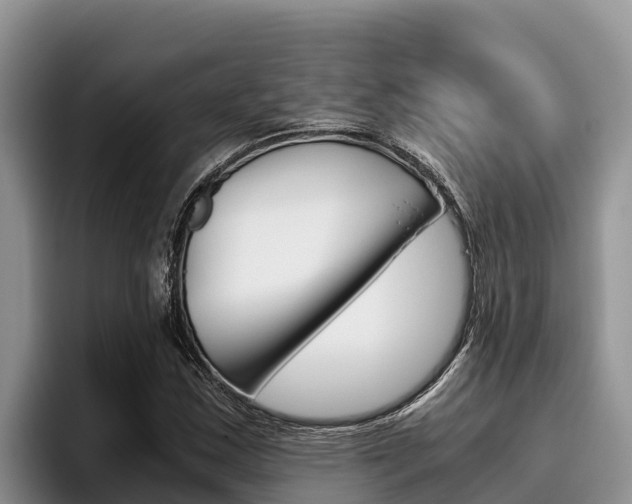 X0000096221163200801181023