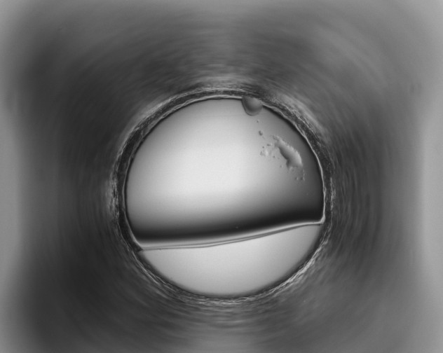 X0000096221164200801181023