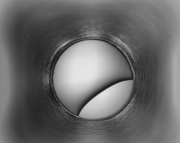 X0000096221166200801181023
