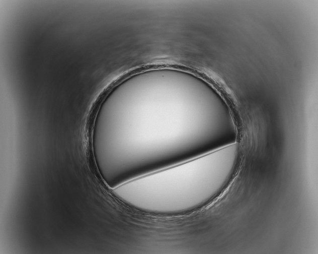 X0000096221167200801181023