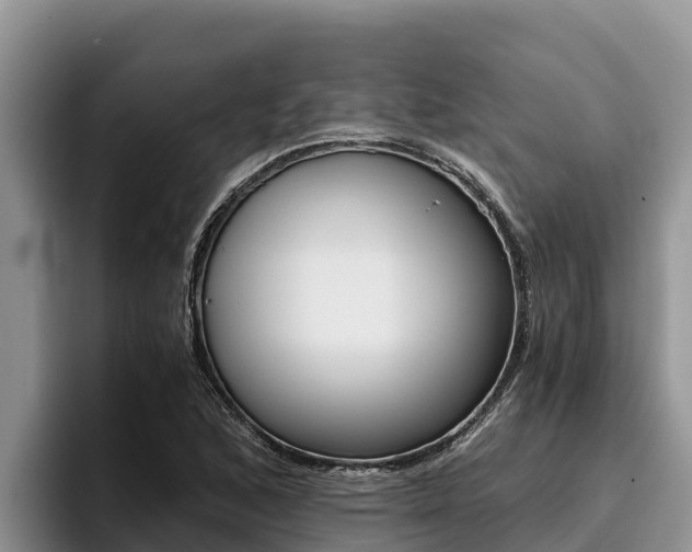 X0000096221168200801181023