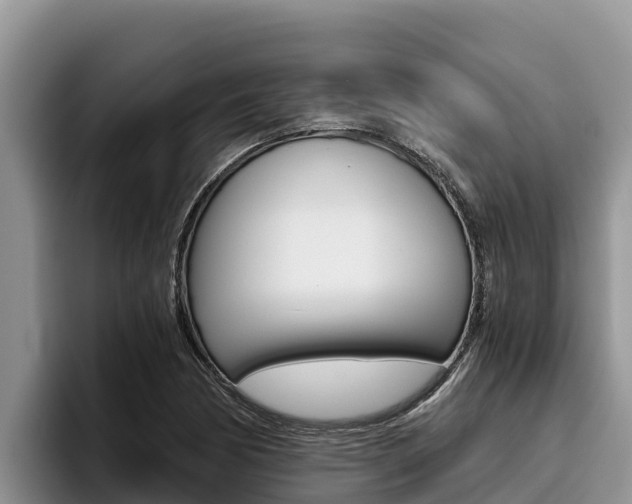 X0000096221170200801181023