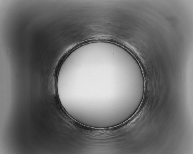 X0000096221171200801181023