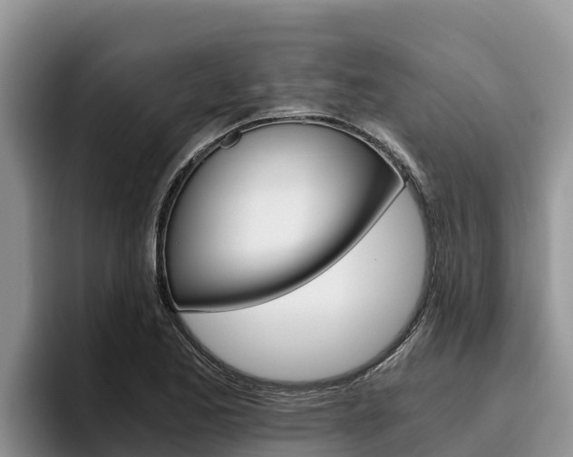 X0000096221173200801181023