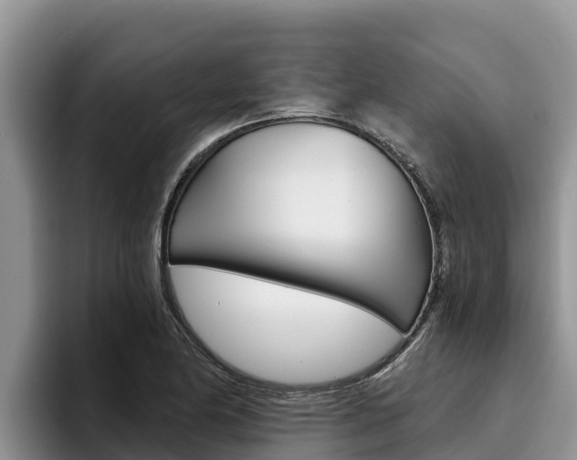X0000096221174200801181023