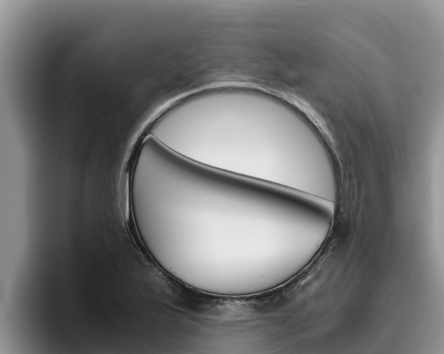X0000096221175200801181023
