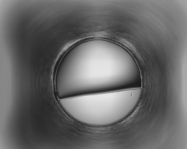 X0000096221176200801181023