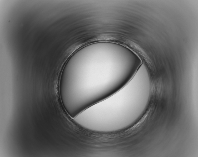 X0000096221177200801181023
