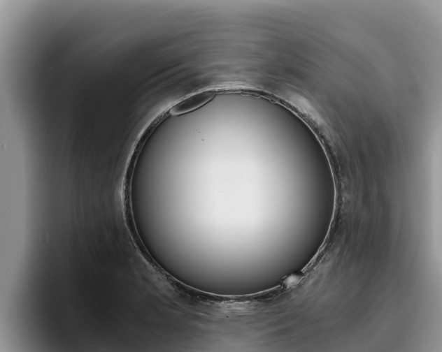 X0000096221181200801181023
