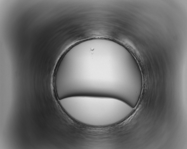 X0000096221182200801181023