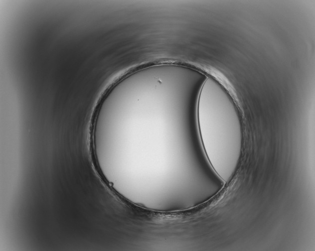 X0000096221183200801181023