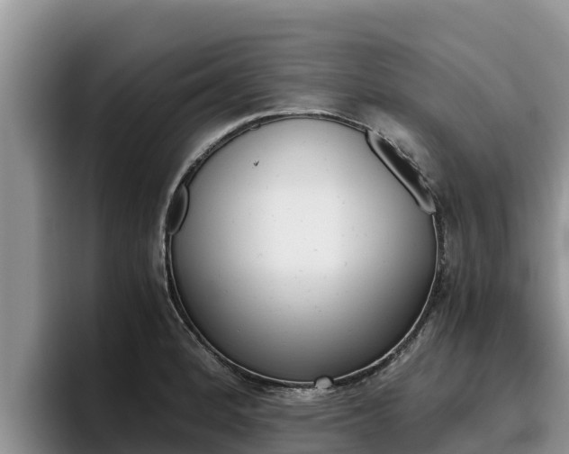 X0000096221184200801181023