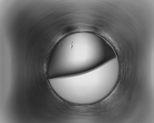 X0000096221185200801181023