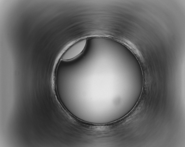 X0000096221188200801181023