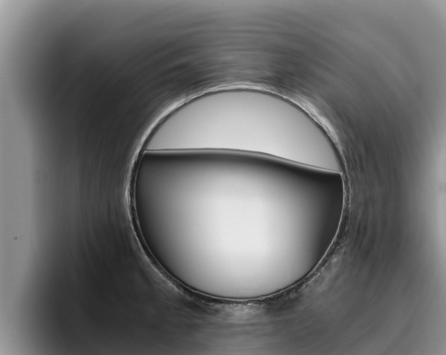 X0000096221189200801181023